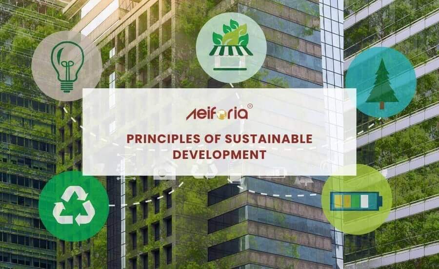 What Are The Principles Of Sustainable Development what-are-the-principles-of-sustainable-development